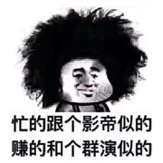 泰迪。