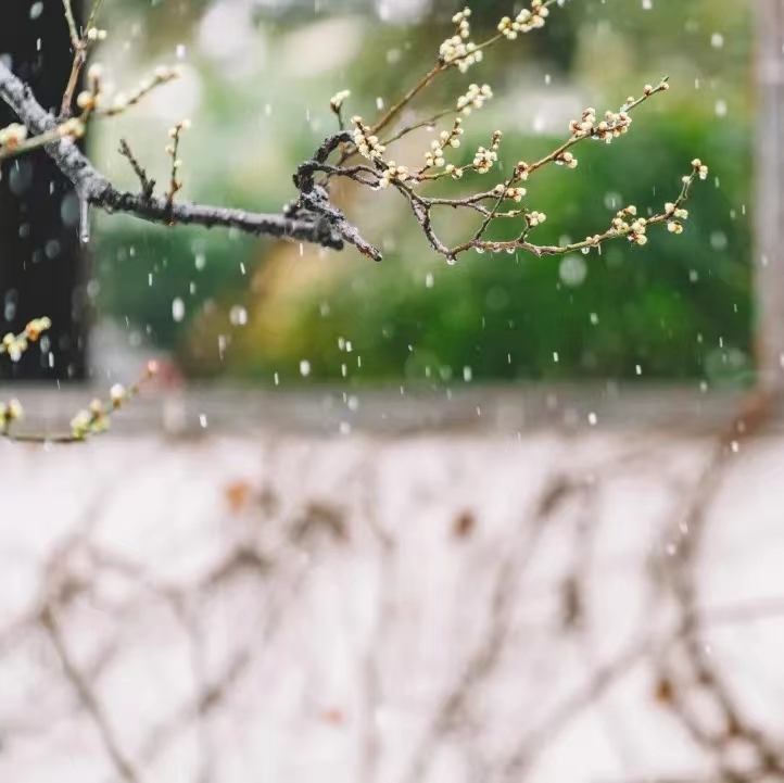 小明月*℡的图片