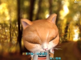 水母好美主播照片