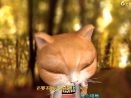 水母好美主播照片