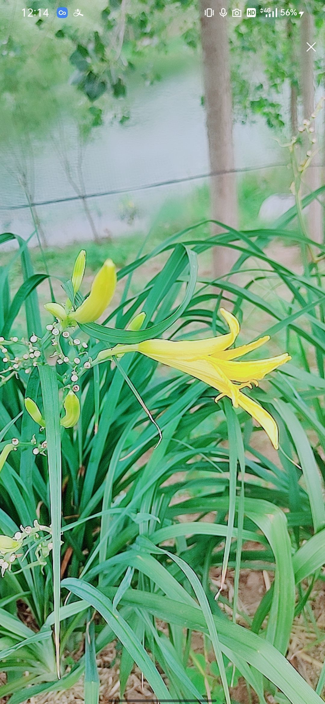 婷婷💕感恩有你陪伴的图片