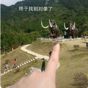 宁夏Baby头像