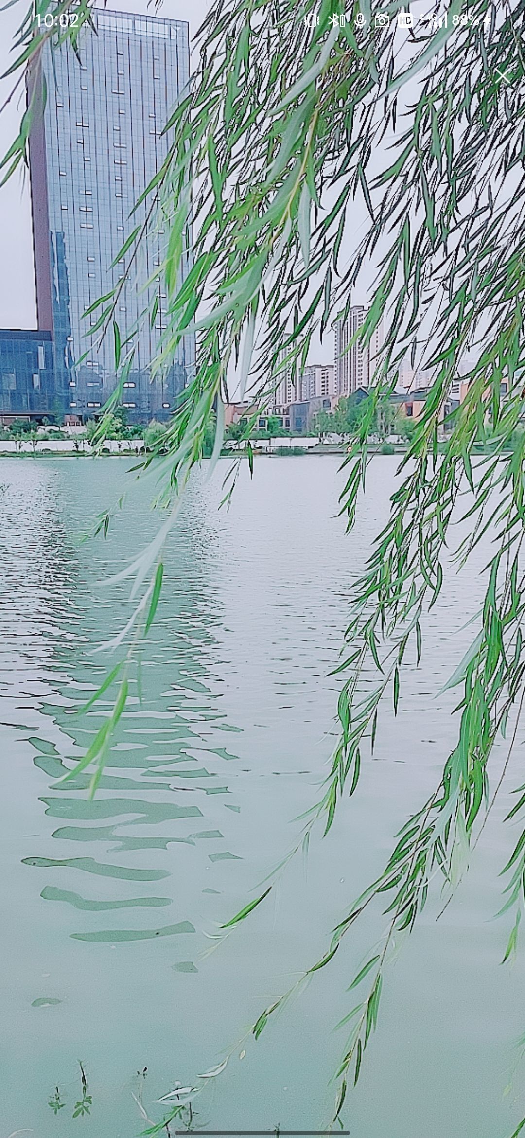 婷婷💕感恩有你陪伴的图片