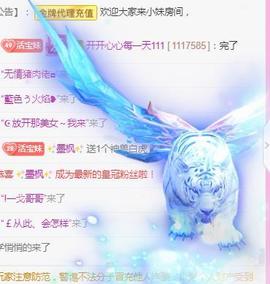 💓小香猪💓主播照片