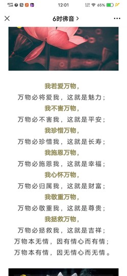 🌸允熙主播照片