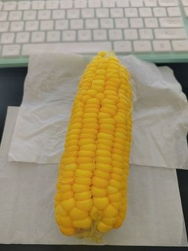 唔～飞机的图片