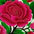 幸福的家s0的头像