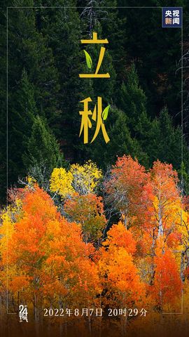 超持久“桑拿天”来了主播照片