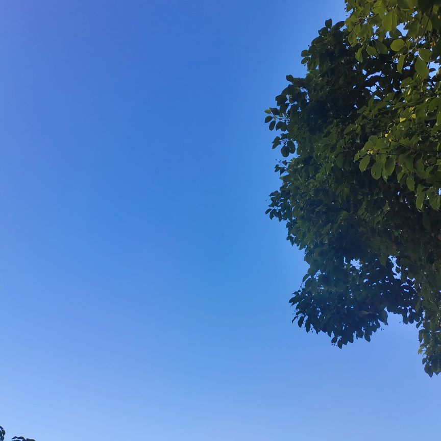 比白更白的白的主播照片