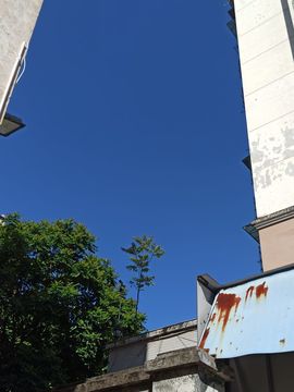 高音低音地沟通主播照片