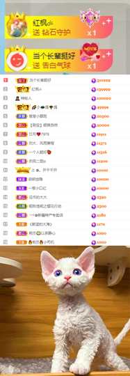 陈慧慧🥕早10晚8主播照片