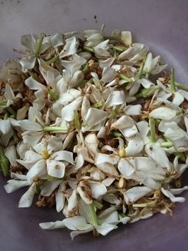 金生小哥哥主播照片