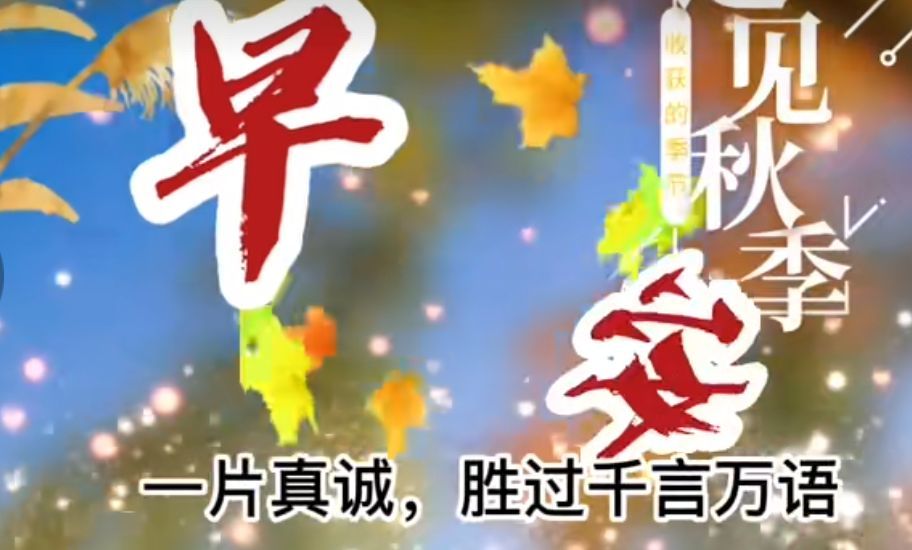 丑小鸭💞愿有一束光的图片