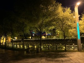小雅代理ღ招财吖主播照片
