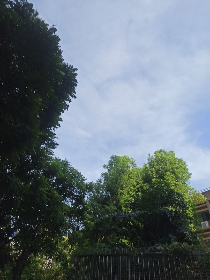 高音低音地沟通的图片