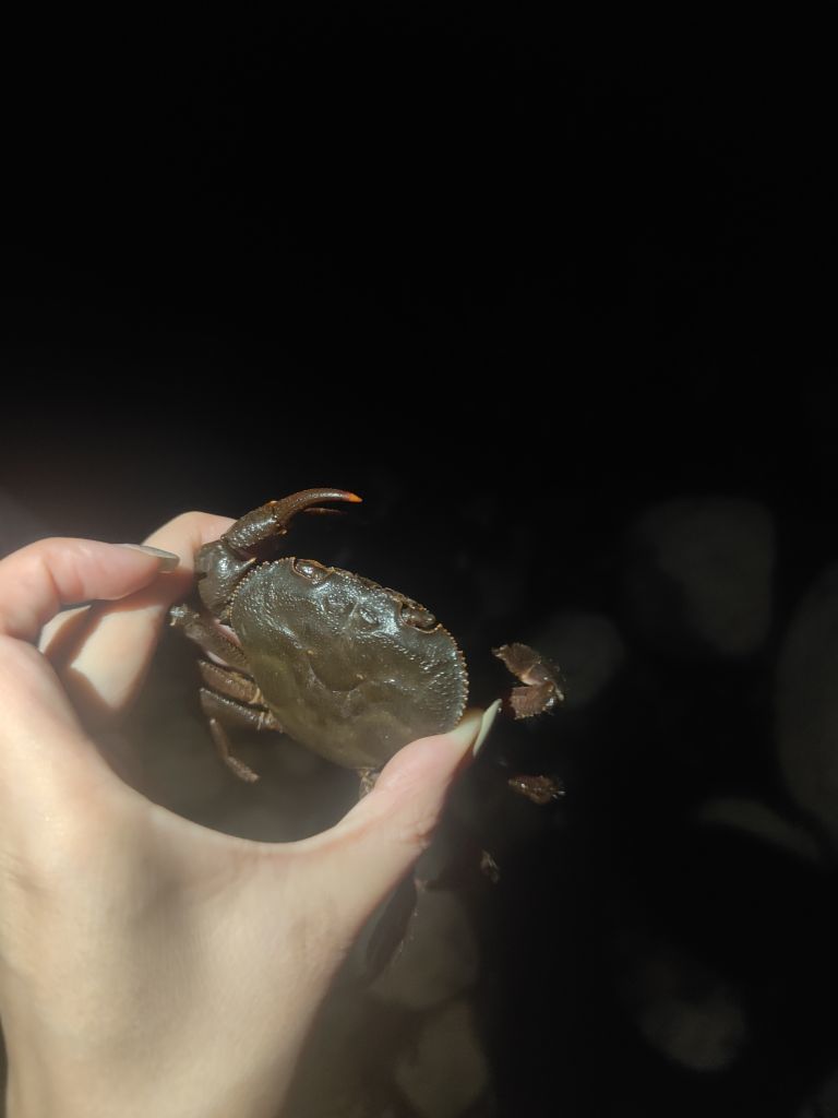 好运😋甜宝生病休的图片