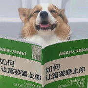 清糖呀