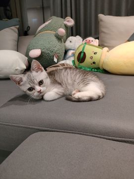 心中无结。。主播照片