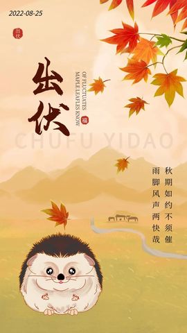 ☂客家甜心金牌代理☂主播照片