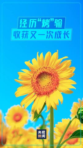 超持久“桑拿天”来了主播照片
