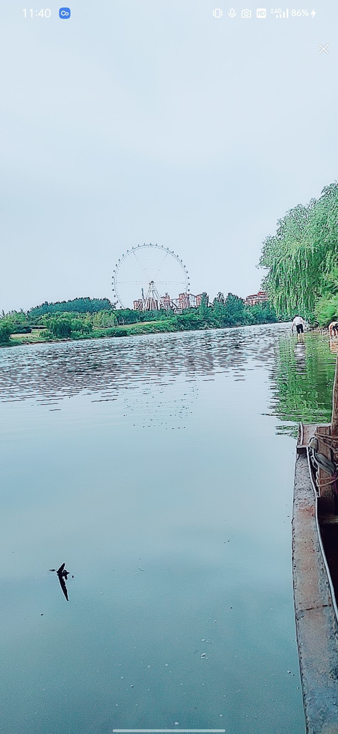 婷婷💕感恩有你陪伴的图片
