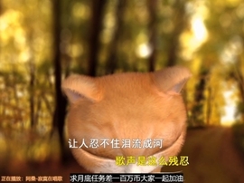 甜蜜未来乐在心怀主播照片