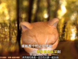 甜蜜未来乐在心怀主播照片