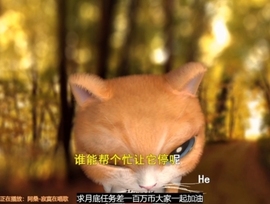 甜蜜未来乐在心怀主播照片