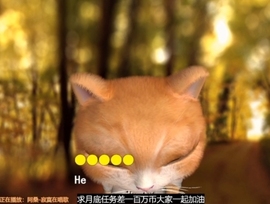 甜蜜未来乐在心怀主播照片