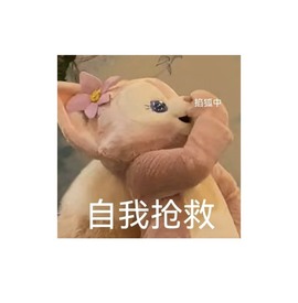 小洁妹妹❤️主播照片
