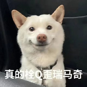 嘛辣法的头像