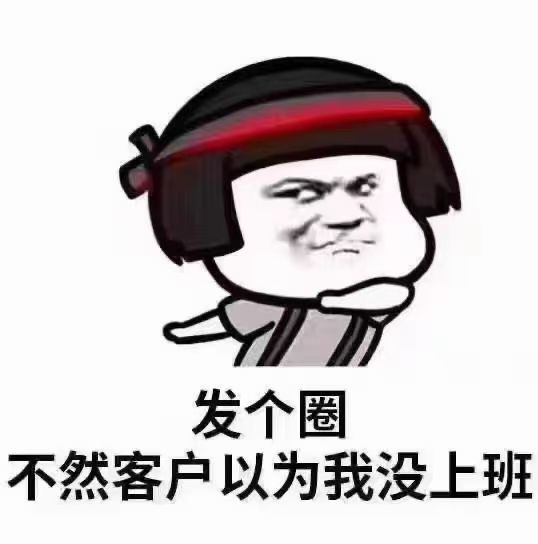 安琪同学的图片