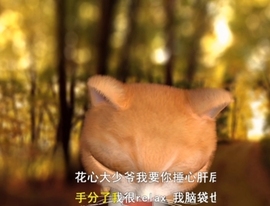 甜蜜未来乐在心怀主播照片