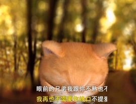 甜蜜未来乐在心怀主播照片