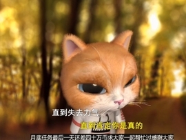 甜蜜未来乐在心怀主播照片