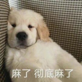 温暖宝宝💰想吃饱饱主播照片