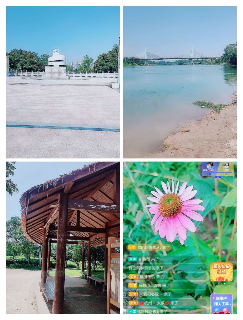 婷婷💕感恩有你陪伴的图片