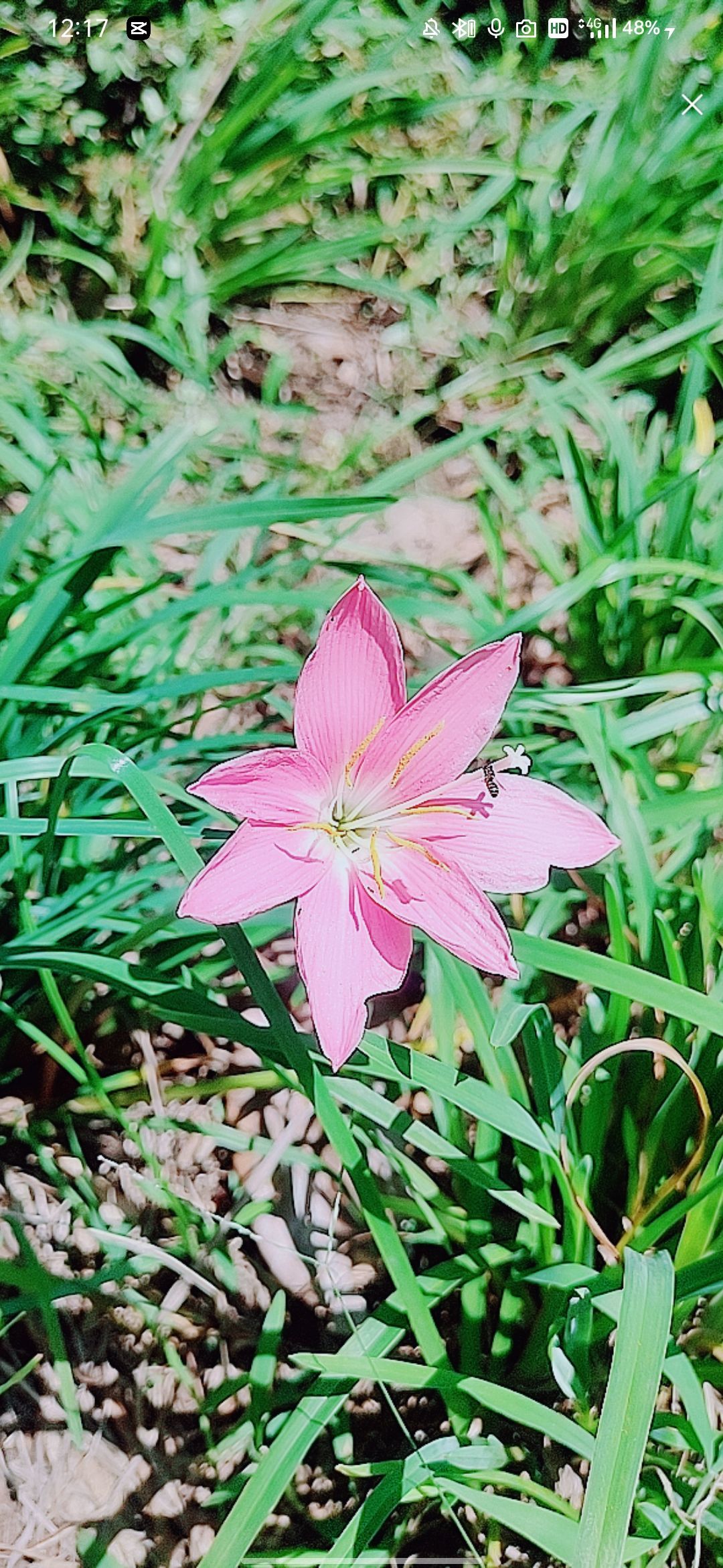 婷婷💕感恩有你陪伴的图片