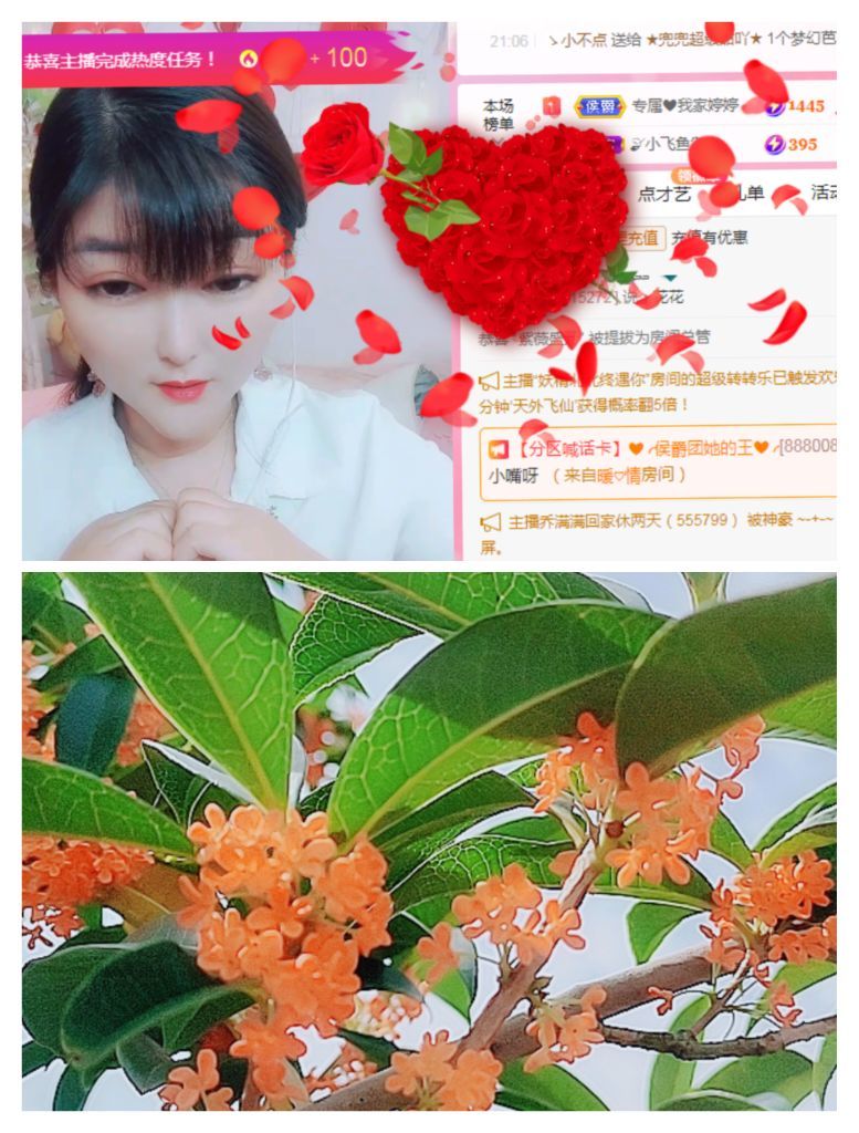 婷婷💕感恩有你陪伴的图片