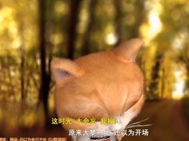甜蜜未来乐在心怀主播照片