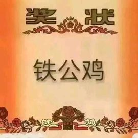 დ释怀დ主播照片