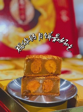 萌新仙人球~主播照片