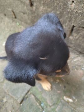 龙哥655的图片