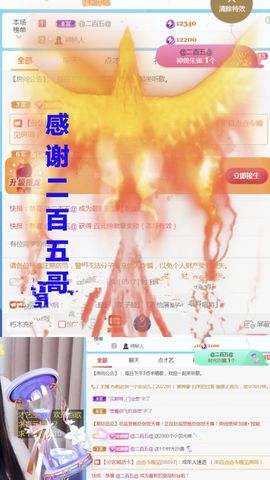 金麒麟安静唱歌🎤主播照片
