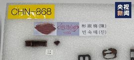超持久“桑拿天”来了主播照片