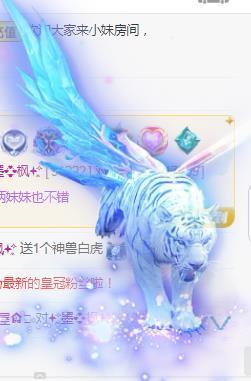 💓小香猪💓主播照片