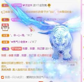 💓小香猪💓主播照片