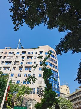 糖经理众筹月底任务主播照片