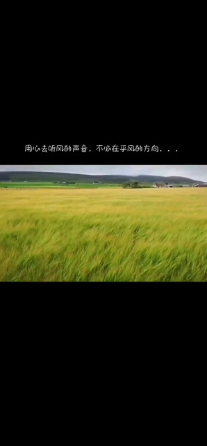 用心去听风的声音，不