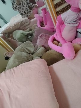 唔～飞机的图片